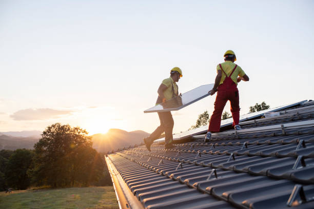 Best Roof Moss and Algae Removal  in Erie, CO