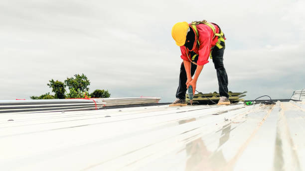 Best 4 Ply Roofing  in Erie, CO